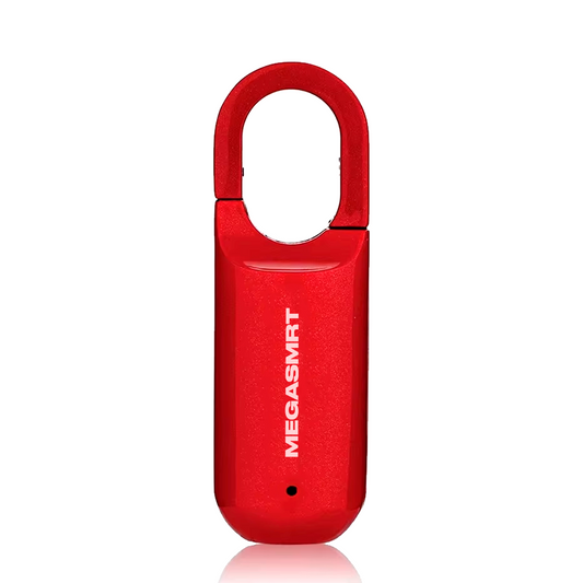 Padlock Mini MEGASMRT™ M01